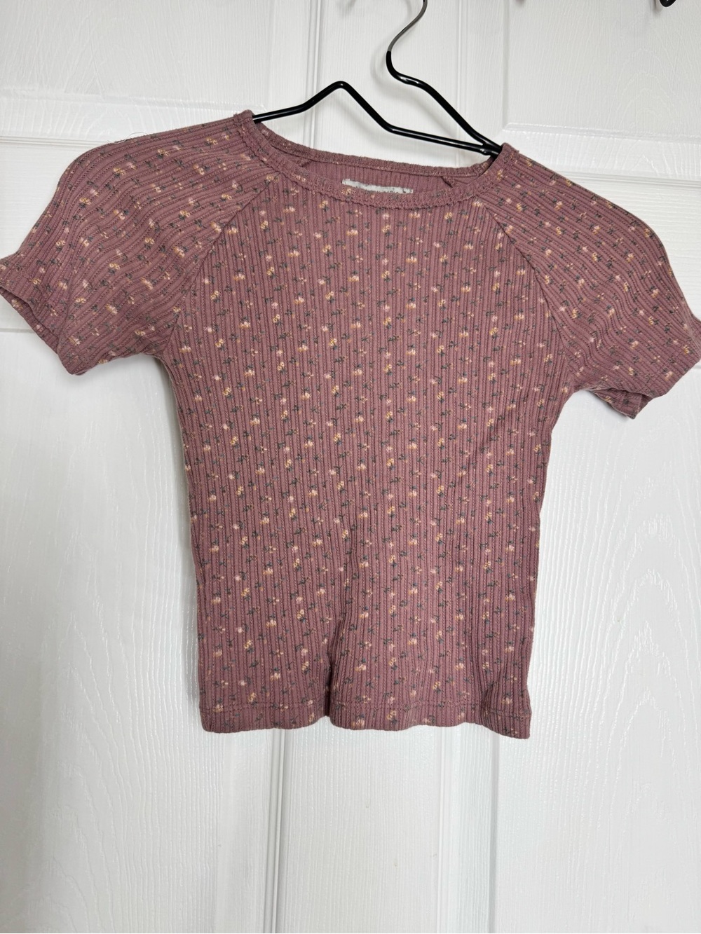 American Eagle Outfitters Dusty Rose Ribbed Floral Short Sleeve Top